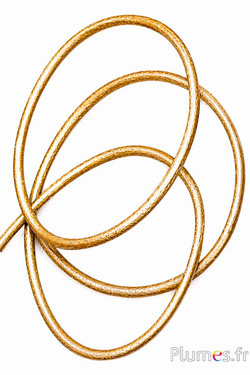 Leren veter - dikte 3 mm - goudkleurig